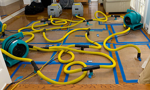 Professional Structural Drying And Dehumidification technician working in Perrysville, OH